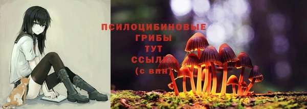 крисы Алзамай