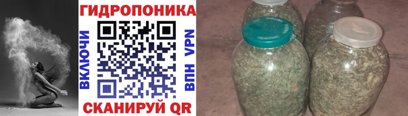 Бошки марихуана марихуана  Камызяк 